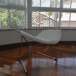 Pr Estrella Dorada
